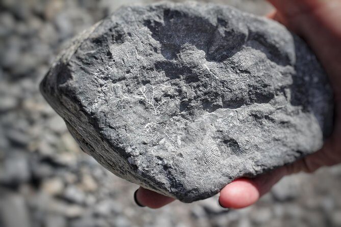 Canmore Caving Explorer Tour - FAQ: Practical Questions About the Canmore Caving Explorer Tour