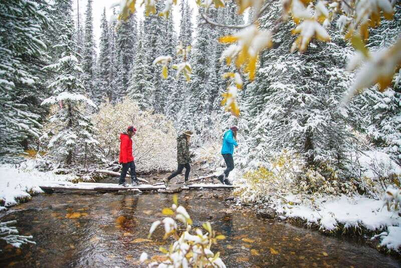 Canmore: Explore Winter Wildlife Tracks - 2hr Nature Walk - The Value of a Guided Nature Walk