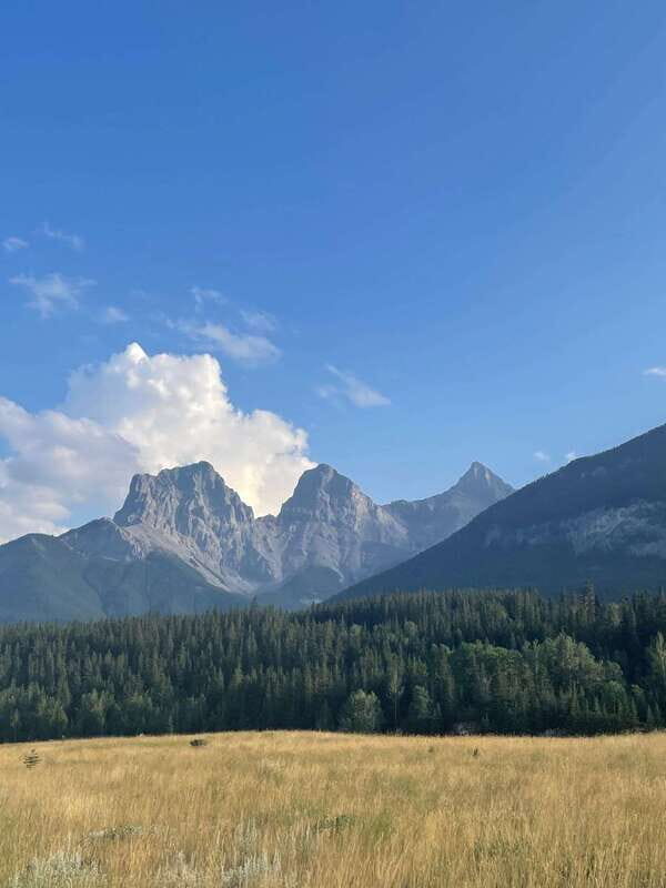 Canmore: Guided Town Walking Tour with Sweet Treat and Drink - Who Will Love This Tour?