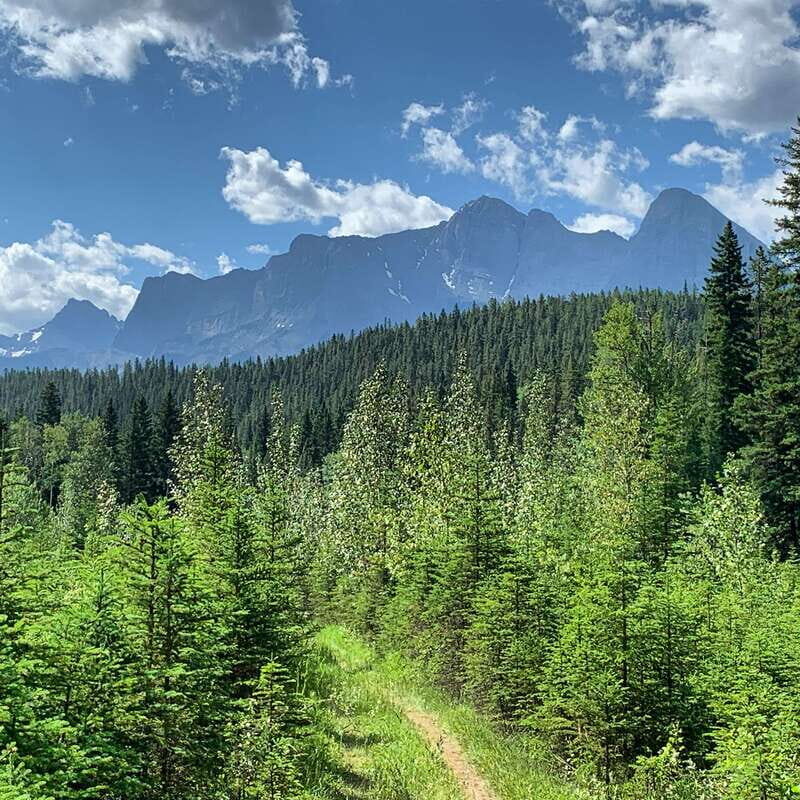 Canmore: LOST TOWNS and Untold Stories - Hiking Tour 3hrs - Why This Tour Is a Great Choice