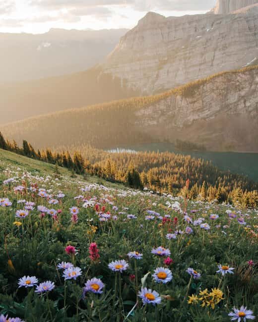 Canmore: Medicinal and Edible Plants, 2-hour Nature Walk - Exploring the Canmore Nature Walk: A Detailed Look