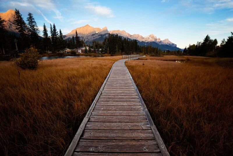 Canmore: Medicinal and Edible Plants, 2-hour Nature Walk - FAQ