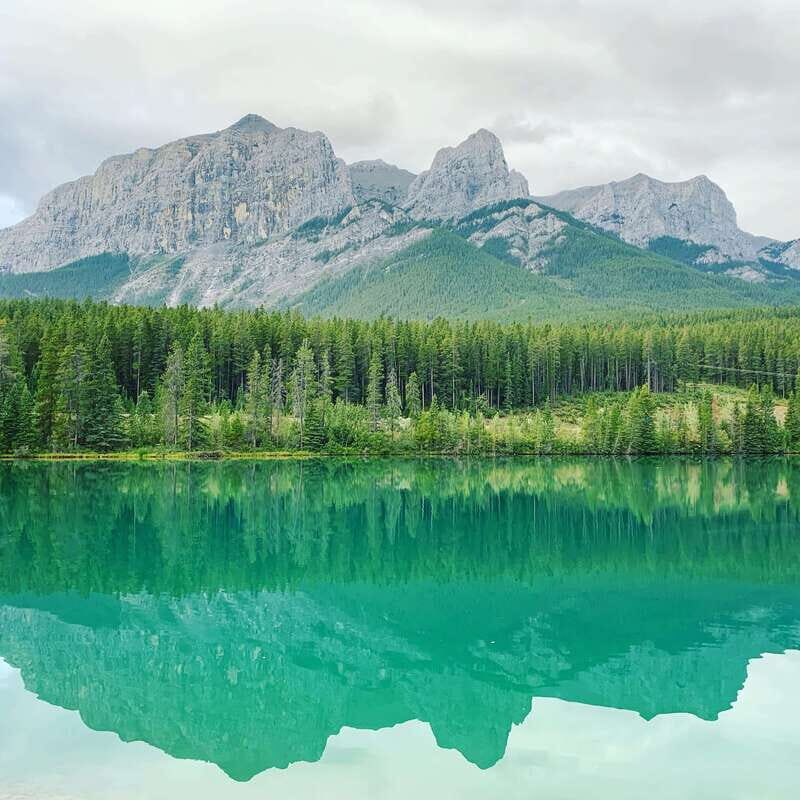 Canmore: PRIVATE SAFARI Drive to BANFF Park & Nature Walk - The Value of this Tour
