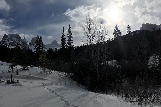 Canmore: Stargazing and Nature by Nightfall Walking Tour - 2hr - FAQs