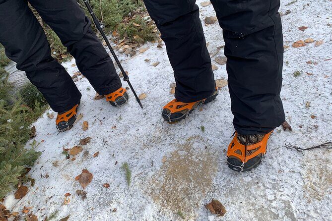 Canmore: Wilderness & Wildlife Tour - 2hr Walk - Navigating Icy Conditions