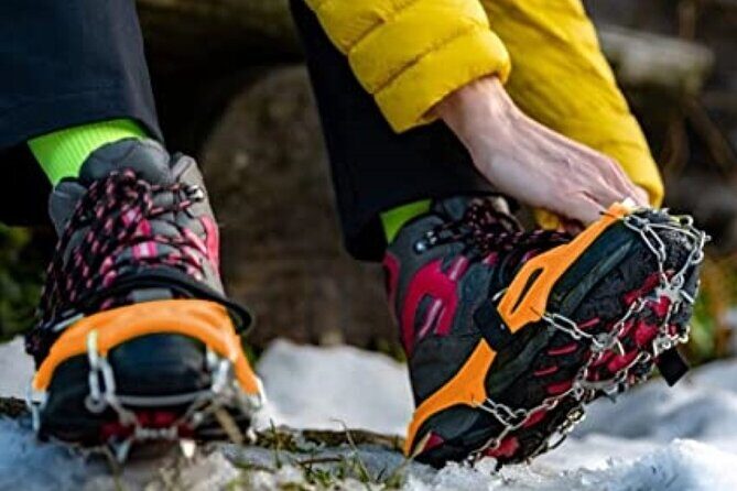 Canmore: Wilderness & Wildlife Tour - 2hr Walk - Personalization and Group Size