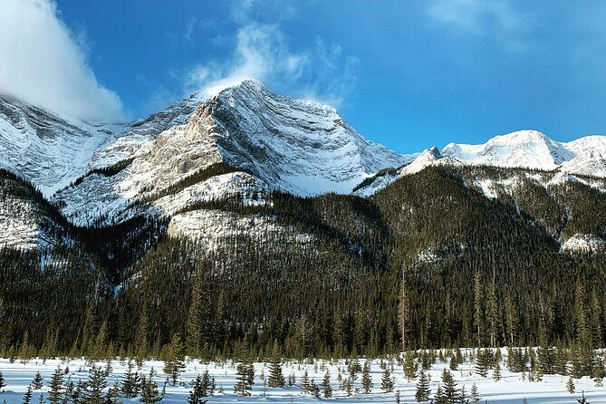 Canmore: Wilderness & Wildlife Tour - 2hr Walk - Practical Considerations