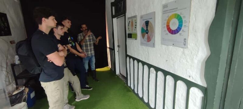 CANNABIS EXPERIENCE - Who Should Consider This Tour?