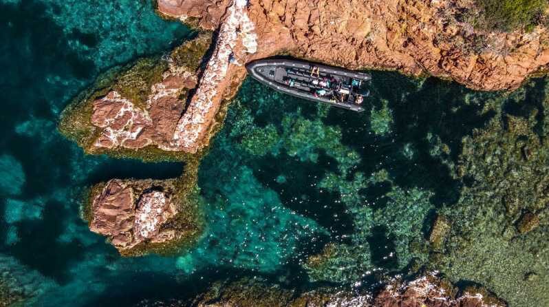 Cannes: 2.5-Hour Esterel Calanques Boat Excursion - What makes this boat excursion special?