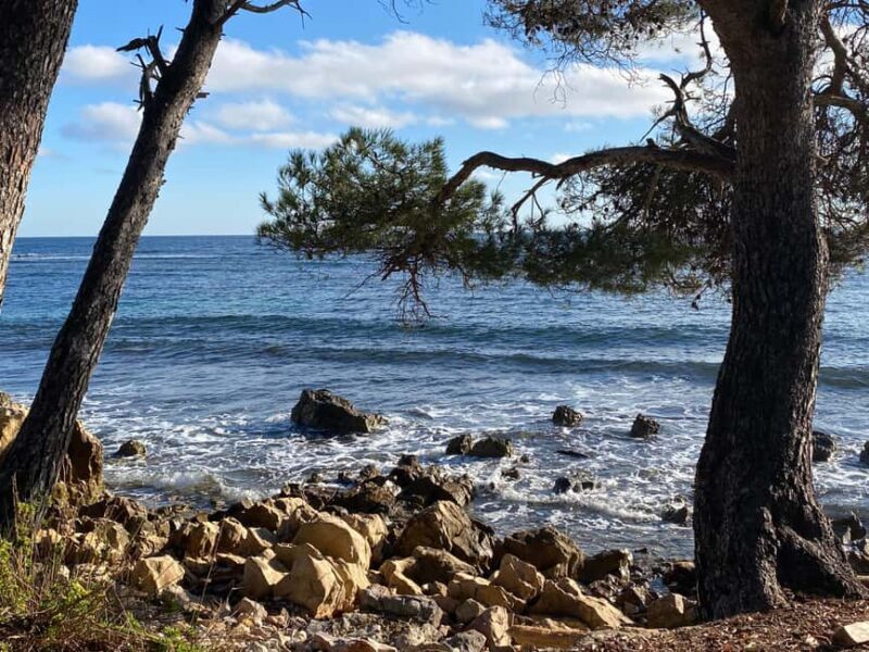 Cannes, Antibes, Mougins, & St-Paul-de-Vence Private Tour - Pricing and Value