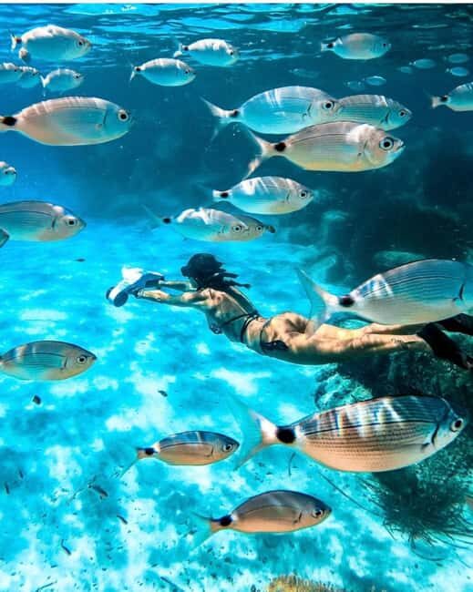 Cannes, Lérins Islands: Visit the eco-museum with a water jet propulsion system - Discover the Lérins Islands by Water Jet: An Unconventional Underwater Adventure