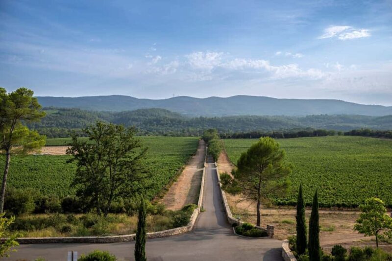 Cannes: Provence Wine Tour - Private Tour from Cannes - An In-Depth Look at the Provence Wine Tour from Cannes