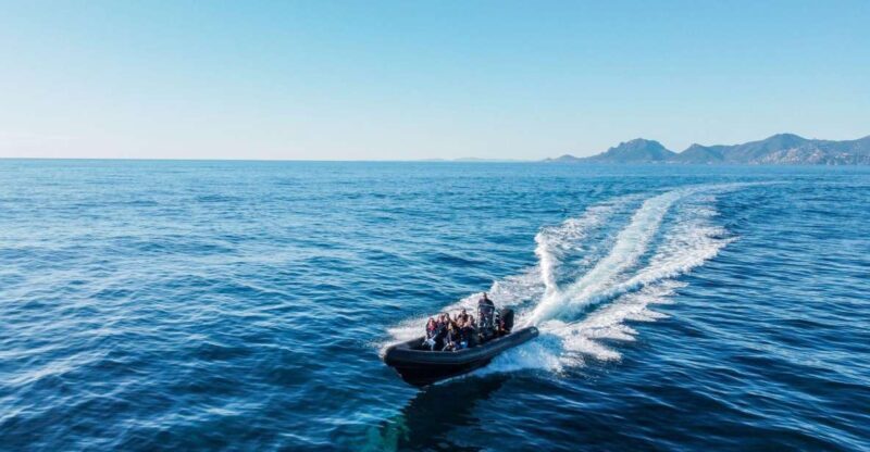 Cannes: Scenic Coves RIB Boat Tour - Who Should Consider This Tour?