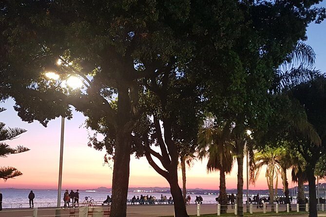 CANNES Shore Excursion: French Riviera Highlights with your Guide - In-Depth Look at the French Riviera Private Tour