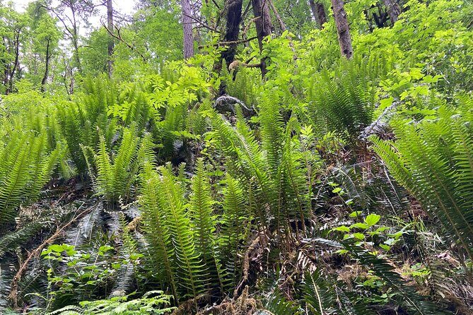 Cannon Beach Hiking Tour on the Oregon Coast - Who Will Appreciate This Tour?