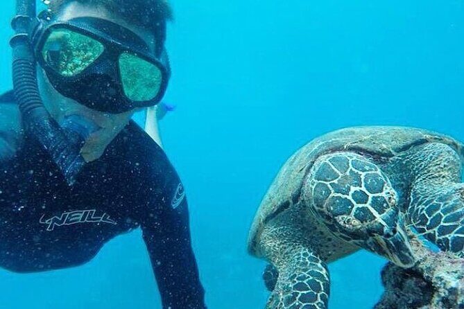 Caño Island from Sierpe - Key Points