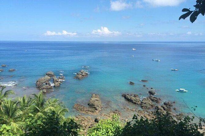 Caño Island from Sierpe - A Detailed Look at the Cano Island from Sierpe Tour