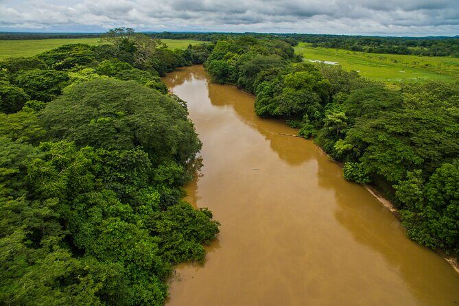 Caño Negro by Boat Incl. traditional Costa Rican lunch - The Experience in Detail: What to Expect from the Caño Negro Boat Tour