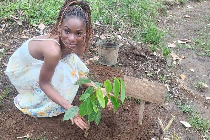 Caño Negro Wild Life Tour - Exploring the Caño Negro Wildlife Sanctuary: A Rich, Authentic Experience