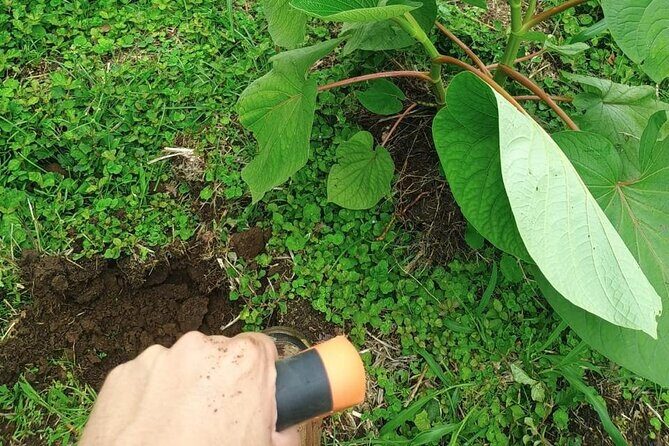 Caño Negro Wild Life Tour - Key Points