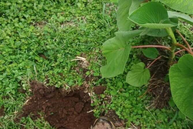 Caño Negro Wild Life Tour - The Sum Up