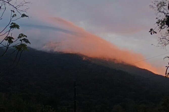 Caño Negro Wild Life Tour - Frequently Asked Questions