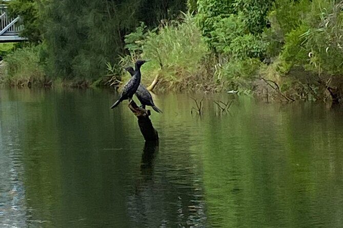 Canoe Hire - Who Will Love This Experience?