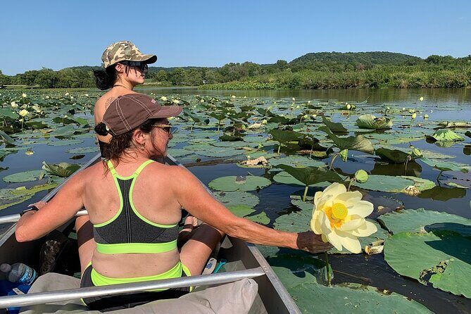 Canoe/Kayak Day Tour of Mississippi Wildlife & Fish Refuge - Detailed Breakdown of the Itinerary