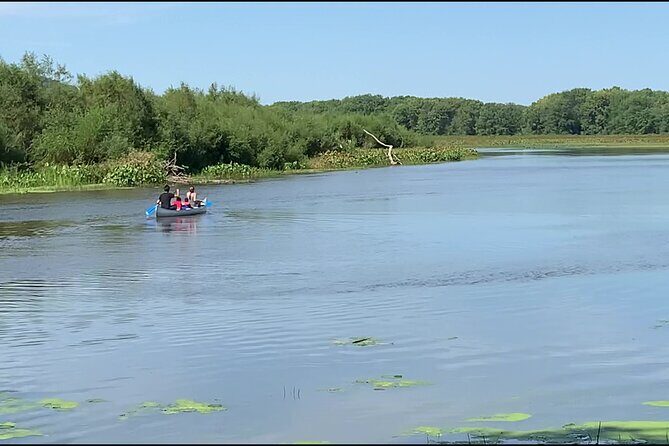 Canoe/Kayak Day Tour of Mississippi Wildlife & Fish Refuge - Final Thoughts: Who Will Love This Trip?