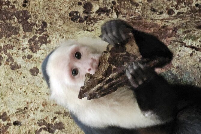 Canoe tour in Tortuguero National Park - FAQ: Your Practical Questions Answered