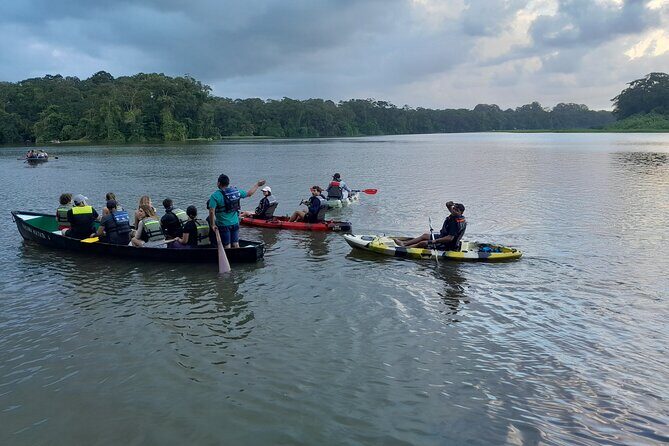 Canoe tour in Tortuguero National Park small group - Key Points