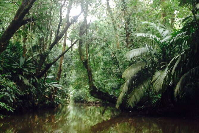 Canoe & wildlife spotting on small canals of Tortuguero Park - Final thoughts