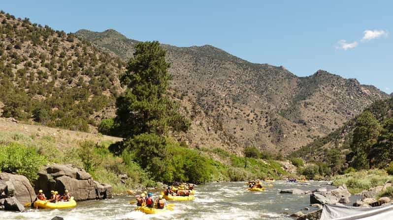 Cañon City: Bighorn Sheep Canyon Guided Rafting Adventure - Who Should Book This Tour?