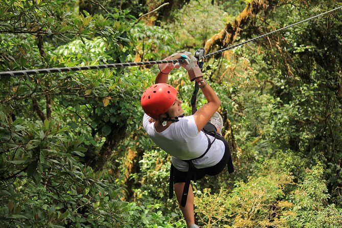 Canopy Adventure From Monteverde - Key Points
