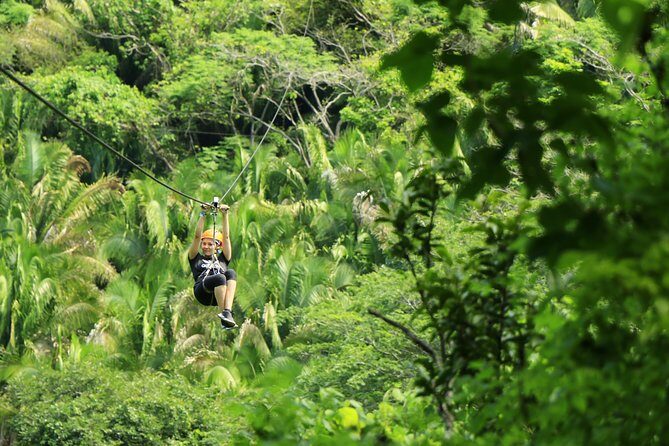 Canopy River Zipline Tour and Mule Ride - Key Points