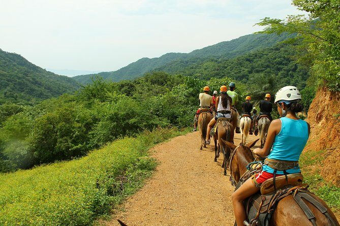 Canopy River Zipline Tour and Mule Ride - An In-Depth Look at the Canopy River Zipline and Mule Ride