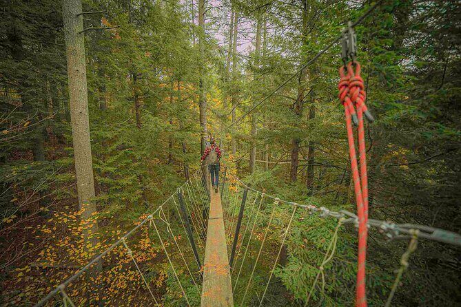 Canopy Tour at Haliburton Forest - An In-Depth Look at the Tour Experience