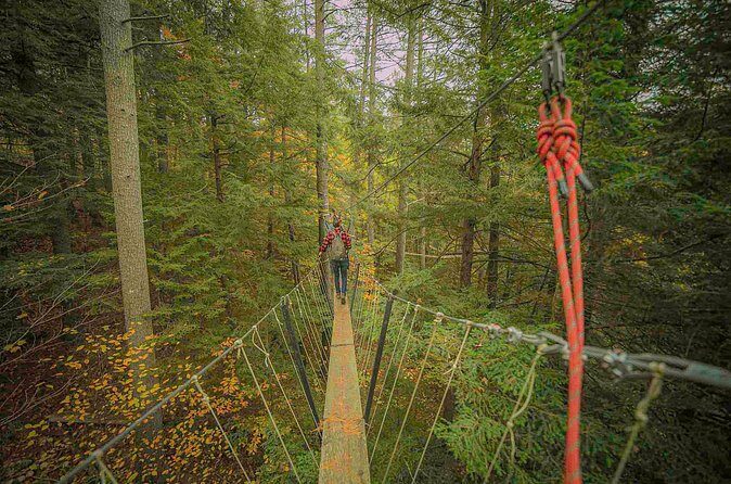 Canopy Tour at Haliburton Forest - Why This Tour Is a Great Choice