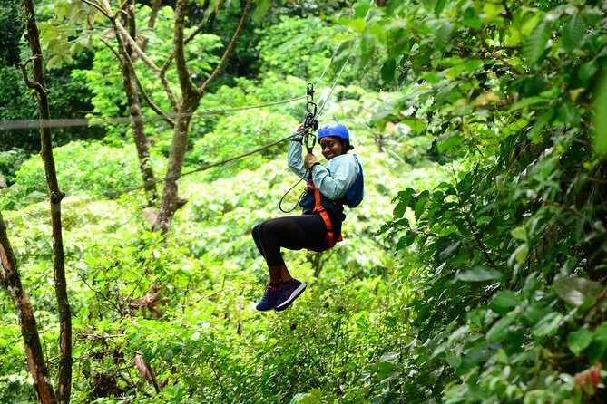 Canopy Tour + Tarzan Swing + Night Walk - A Deep Dive into the Experience