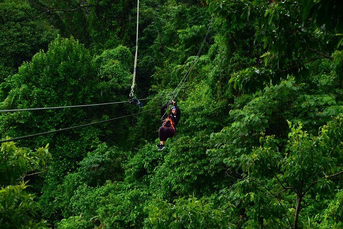 Canopy Tour + Tarzan Swing + White Water Rafting - An In-Depth Look at Your Adventure Day