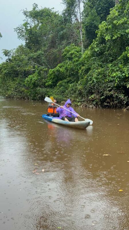 Canopy Tower, Zipline, Kayak, and Monkey Island - Key Points