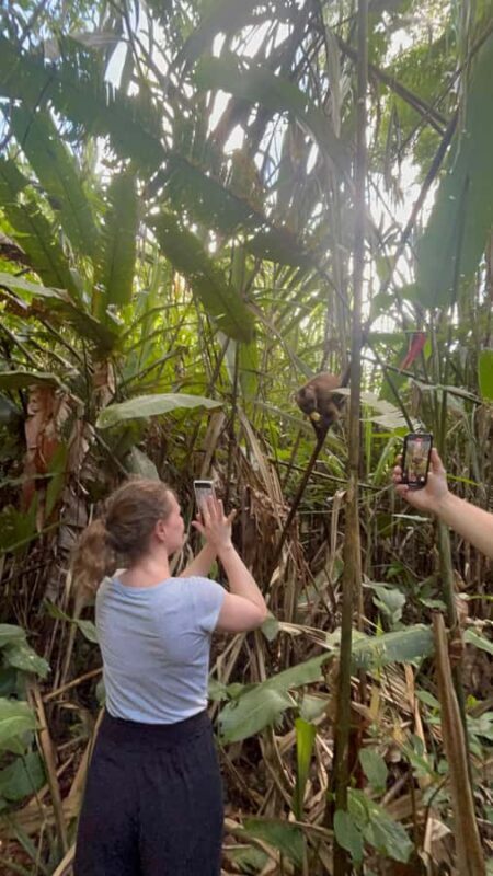 Canopy Tower, Zipline, Kayak, and Monkey Island - A Deep Look at the Amazon Adventure