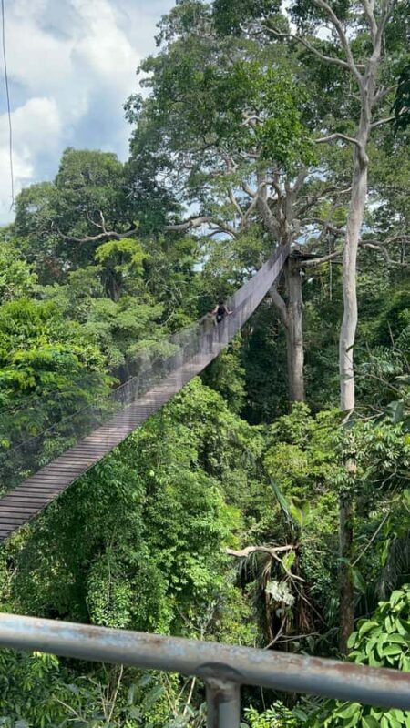 Canopy Tower, Zipline, Kayak, and Monkey Island - The Practical Side: What You Need to Know