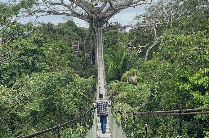 Canopy Walkway, Zip Line, Kayak, and Monkey Island in Tambopata. - Who Would Love This Tour?