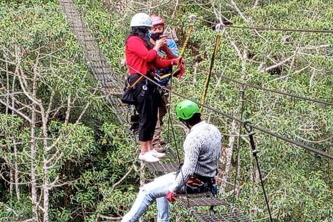 Canopy - ZipLine - 2000m. Adventure Circuit - in 6 Lines - Key Points