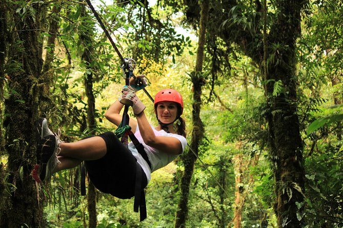 Canopy Zipline & Butterflies From Monteverde - Key Points