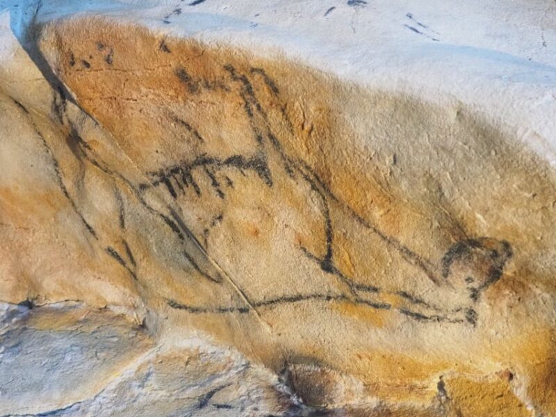 Cantabria: El Castillo Caves & Paleolithic Art - Key Points