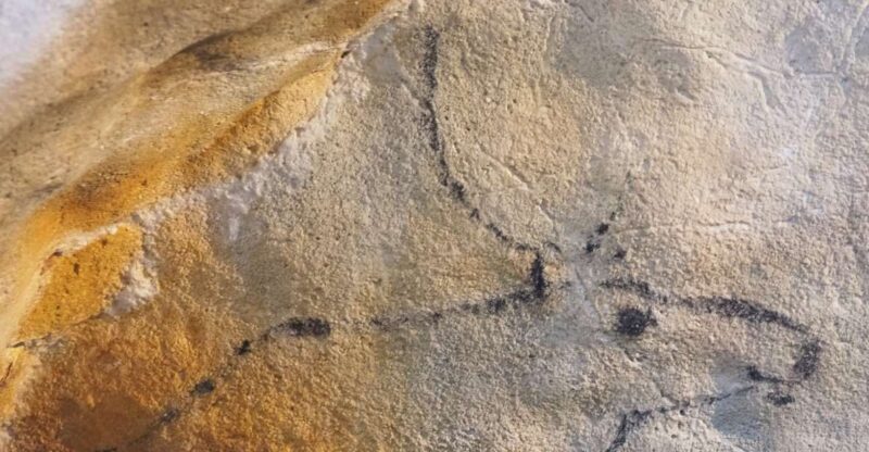 Cantabria: El Castillo Caves & Paleolithic Art - Detailed Breakdown of the Experience