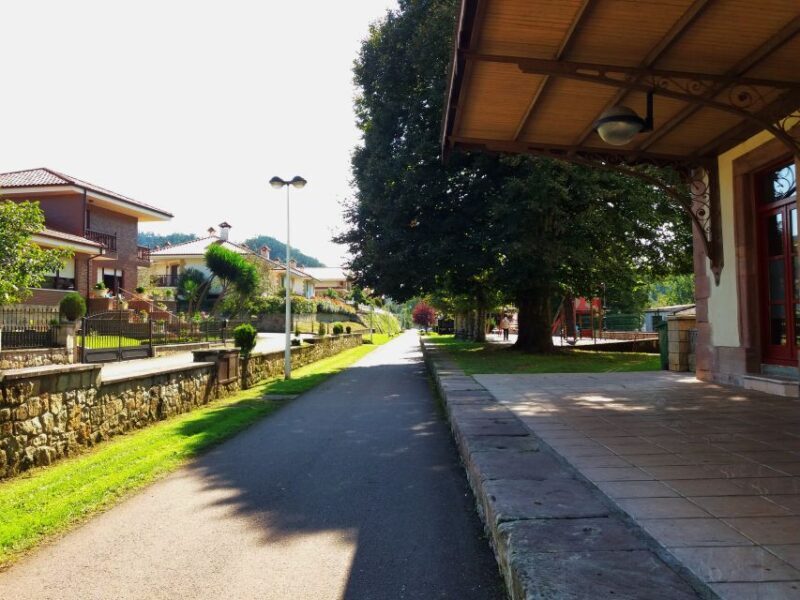 Cantabria: El Castillo Caves & Paleolithic Art - Who Is This Tour Best For?