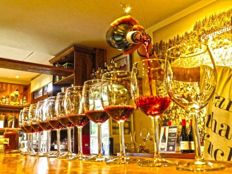 Cantabria: Wine and Liquor Tasting Guided Tour with Snacks - Practical Notes: What Does It All Mean for You?